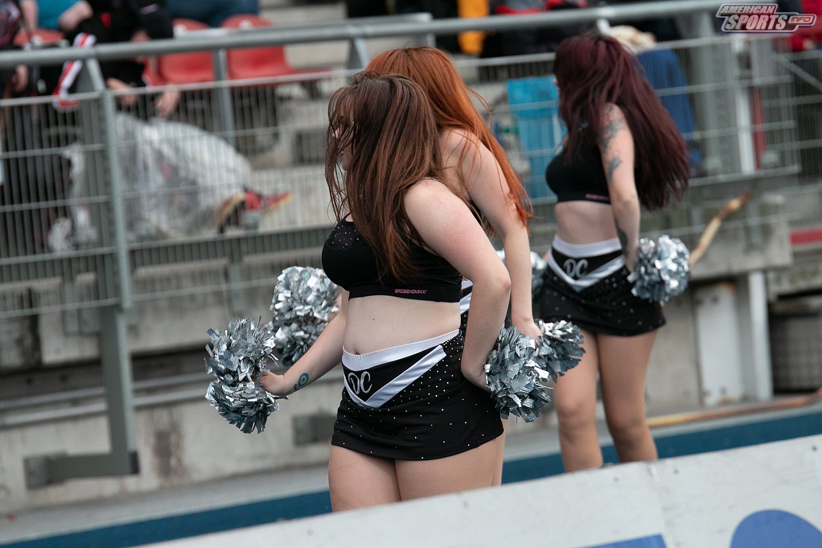Playoff Halbfinale New Yorker Lions Braunschweig vs. Frankfurt Universe 36:18 29.09.19 (1)