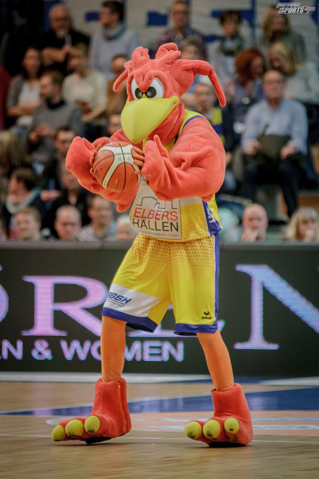 ProA Basketball: Phoenix Hagen vs Hamburg Towers 84:70 24.11.2018