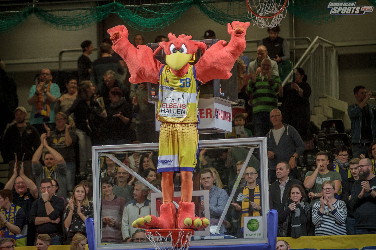 ProA Basketball: Phoenix Hagen vs Hamburg Towers 84:70 24.11.2018