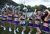 Die Cheerleader beim Spiel Frankfurt Universe vs Bad Homburg Sentinels am 26.08.2023