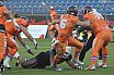 GFL Playoffs: Braunschweig vs Frankfurt 17:20 29.09.2018 (Galerie 2)