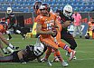 GFL Playoffs: Braunschweig vs Frankfurt 17:20 29.09.2018 (Galerie 2)