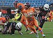 GFL Playoffs: Braunschweig vs Frankfurt 17:20 29.09.2018 (Galerie 2)