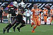 GFL Playoffs: Braunschweig vs Frankfurt 17:20 29.09.2018 (Galerie 2)