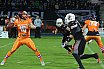GFL Playoffs: Braunschweig vs Frankfurt 17:20 29.09.2018 (Galerie 2)