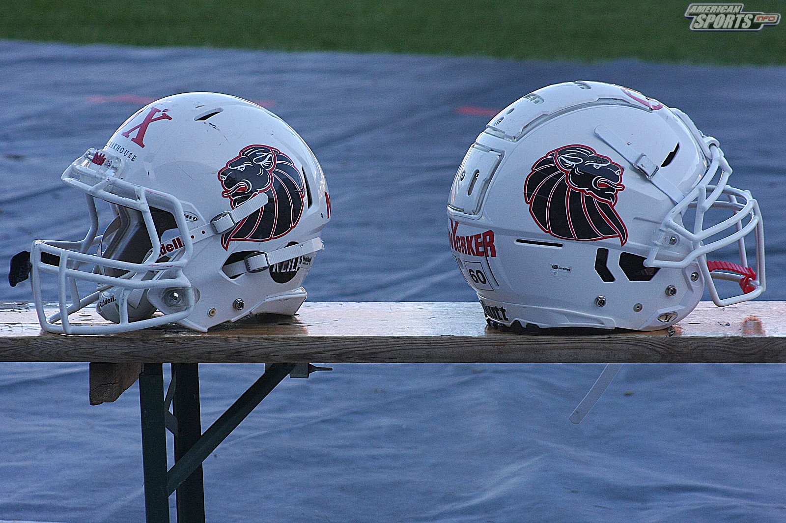 GFL Playoff Viertelfinale NewYorker Lions Braunschweig vs. Stuttgart Scorpions 70:3 21.09.19