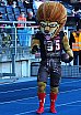 GFL Playoff Viertelfinale NewYorker Lions Braunschweig vs. Stuttgart Scorpions 70:3 21.09.19