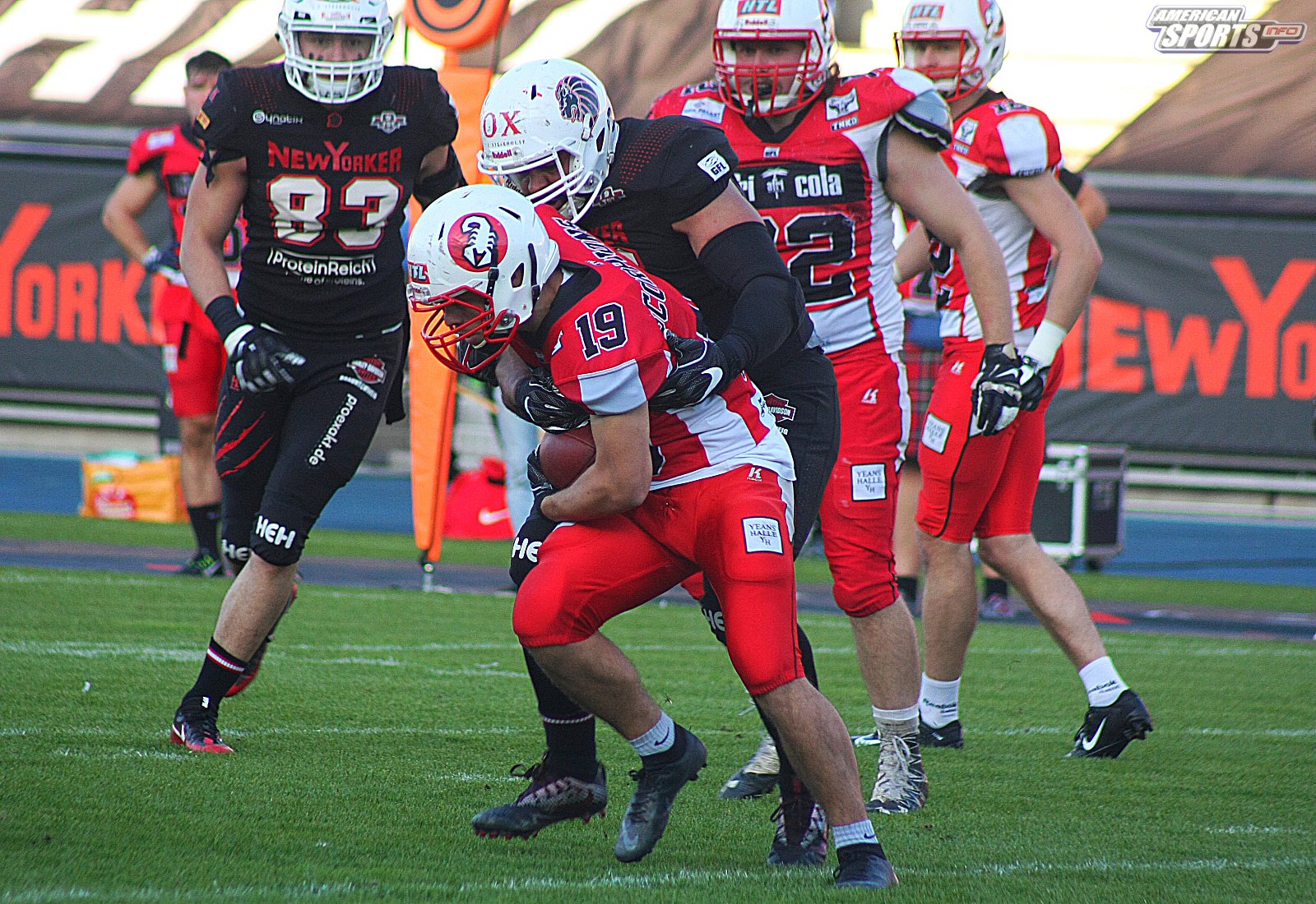 GFL Playoff Viertelfinale NewYorker Lions Braunschweig vs. Stuttgart Scorpions 70:3 21.09.19