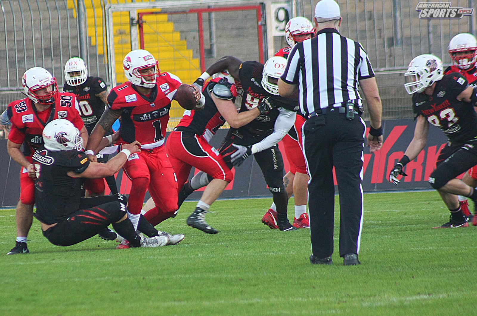 GFL Playoff Viertelfinale NewYorker Lions Braunschweig vs. Stuttgart Scorpions 70:3 21.09.19