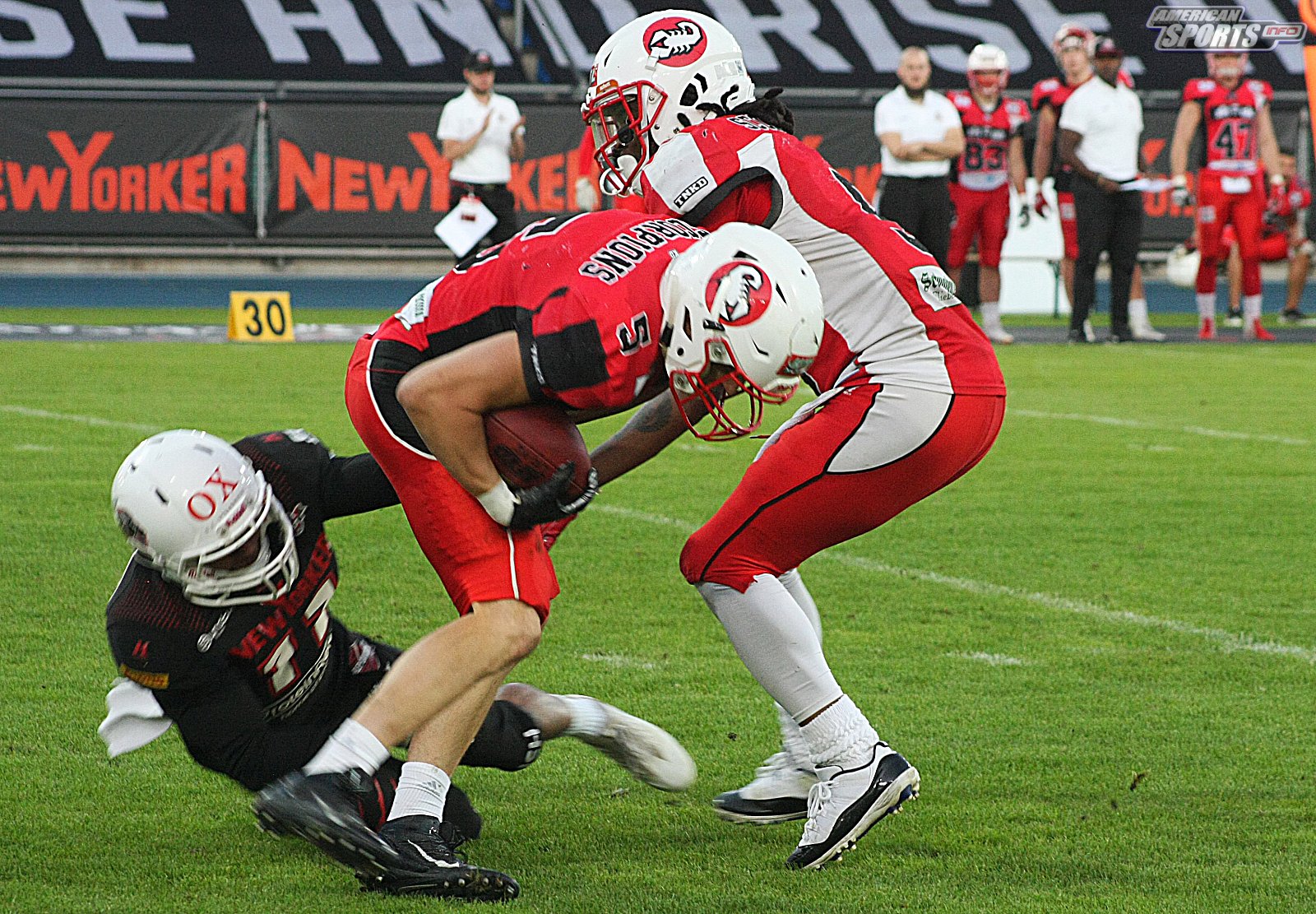 GFL Playoff Viertelfinale NewYorker Lions Braunschweig vs. Stuttgart Scorpions 70:3 21.09.19
