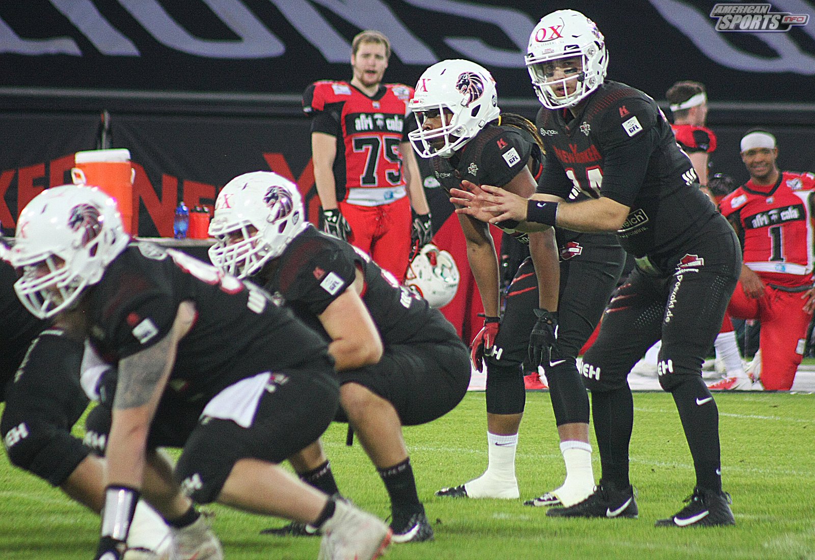 GFL Playoff Viertelfinale NewYorker Lions Braunschweig vs. Stuttgart Scorpions 70:3 21.09.19