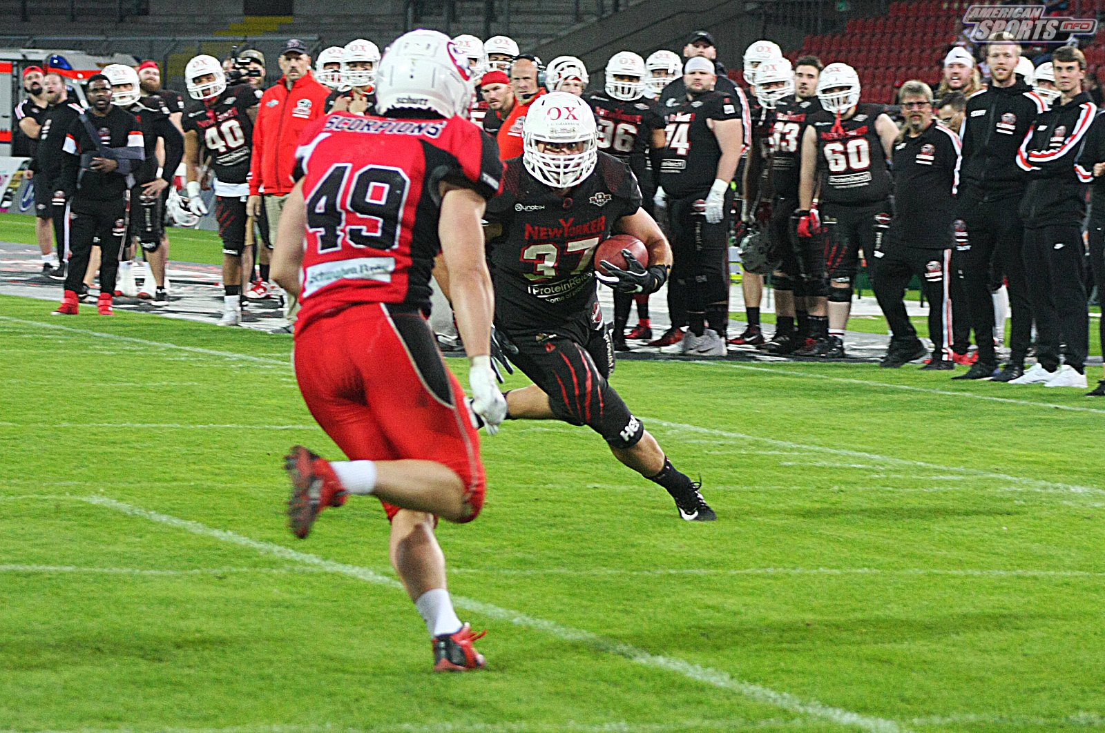 GFL Playoff Viertelfinale NewYorker Lions Braunschweig vs. Stuttgart Scorpions 70:3 21.09.19