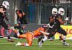Playoff Halbfinale New Yorker Lions Braunschweig vs. Frankfurt Universe 36:18 29.09.19 (2)