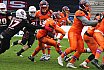 Playoff Halbfinale New Yorker Lions Braunschweig vs. Frankfurt Universe 36:18 29.09.19 (2)