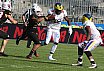 GFL Nord New Yorker Lions Braunschweig vs. Hildesheim Invaders 35:28  22.06.19 Galerie 2