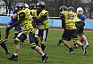 Salzgitter Steelers vs. Werningerode Mountain Tigers  07:35 16.03.2019