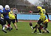 Salzgitter Steelers vs. Werningerode Mountain Tigers  07:35 16.03.2019