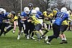 Salzgitter Steelers vs. Werningerode Mountain Tigers  07:35 16.03.2019