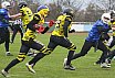 Salzgitter Steelers vs. Werningerode Mountain Tigers  07:35 16.03.2019