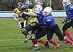Salzgitter Steelers vs. Werningerode Mountain Tigers  07:35 16.03.2019
