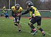 Salzgitter Steelers vs. Werningerode Mountain Tigers  07:35 16.03.2019