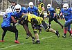 Salzgitter Steelers vs. Werningerode Mountain Tigers  07:35 16.03.2019