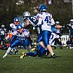 LL: Heilbronn Miners vs. VS Neckar Hammers 24:31