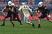 GFL Football: NewYorker Lions Braunschweig vs Dresden Monarchs 28:28 08.09.2018