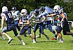 Regio Nord: Wolfsburg Blue Wings vs. Hamburg Blue Devils 30:24 18.05.2019
