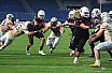 GFL Football: NewYorker Lions Braunschweig vs Dresden Monarchs 28:28 08.09.2018