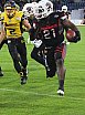 GFL Playoffs NewYorker Lions Braunschweig vs Munich Cowboys 59-14 22.09.2018