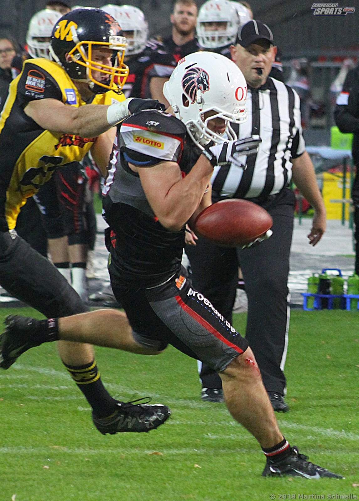 GFL Playoffs NewYorker Lions Braunschweig vs Munich Cowboys 59-14 22.09.2018