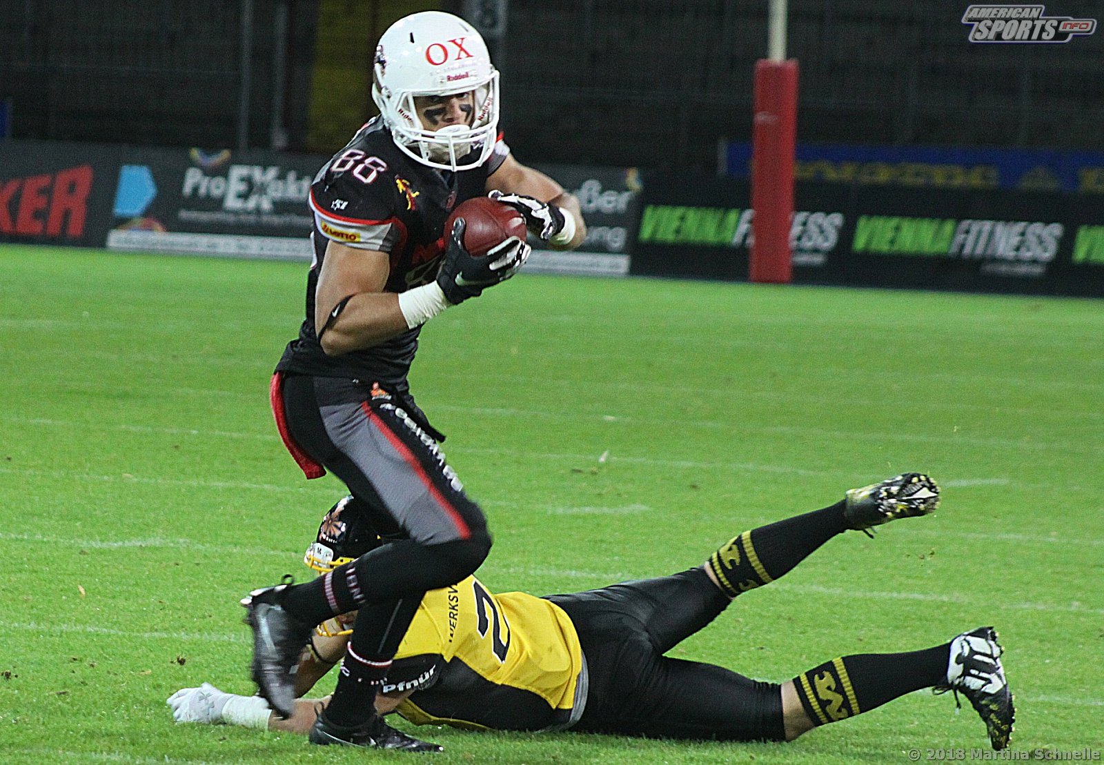 GFL Playoffs NewYorker Lions Braunschweig vs Munich Cowboys 59-14 22.09.2018