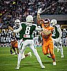 GFL Football: Germanbowl XL Frankfurt vs Hall 19:21 13.10.2018 Galerie 3