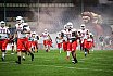 GFL Nord: New Yorker Lions Braunschweig vs. Potsdam Royals 35:14 26.05.2019 Galerie 1