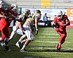 GFL Nord: Dresden Monarchs vs NewYorker Lions Braunschweig 31:34 01.06.2019