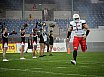 GFL Nord: New Yorker Lions Braunschweig vs. Potsdam Royals 35:14 26.05.2019 Galerie 1