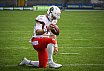 GFL Nord: New Yorker Lions Braunschweig vs. Potsdam Royals 35:14 26.05.2019 Galerie 1