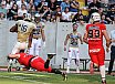 GFL Nord: Dresden Monarchs vs NewYorker Lions Braunschweig 31:34 01.06.2019