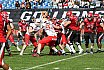 GFL Nord: New Yorker Lions Braunschweig vs. Potsdam Royals 35:14 26.05.2019 Galerie 1
