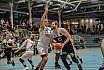 ProB: Wohnbau Baskets Essen vs Itzehoe Eagles 77:87 27.10.2018