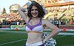 Die Frankfurt Universe Cheerleader beim Germanbowl XL in Berlin am 13.10.2018