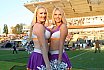 Die Frankfurt Universe Cheerleader beim Germanbowl XL in Berlin am 13.10.2018