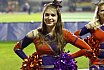 Die Frankfurt Universe Cheerleader beim Germanbowl XL in Berlin am 13.10.2018
