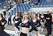 Die Frankfurt Universe Cheerleader beim Heimspiel gegen die Ingolstadt Dukes am 16.06.2019