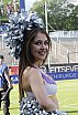 Die Frankfurt Universe Cheerleader beim Heimspiel gegen die Ingolstadt Dukes am 16.06.2019