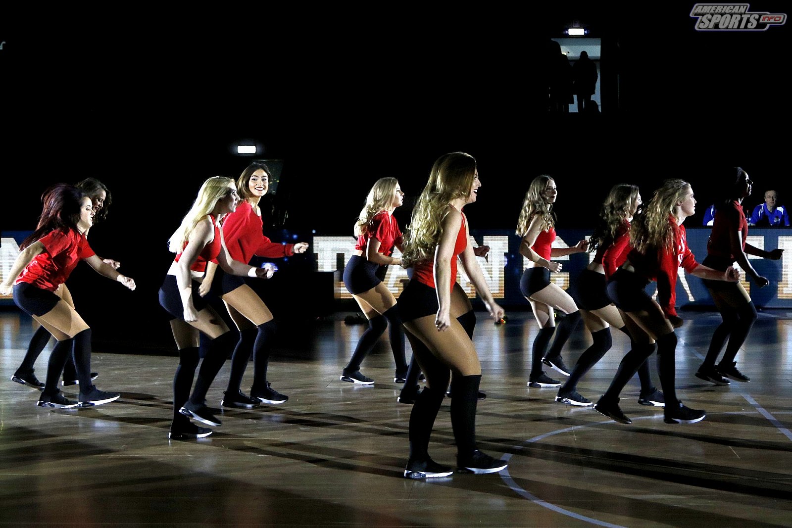 Das Frankfurt Skyliners Danceteam beim BBL Heimspiel gegen MHP Riesen Ludwigsburg am 10.02.2019