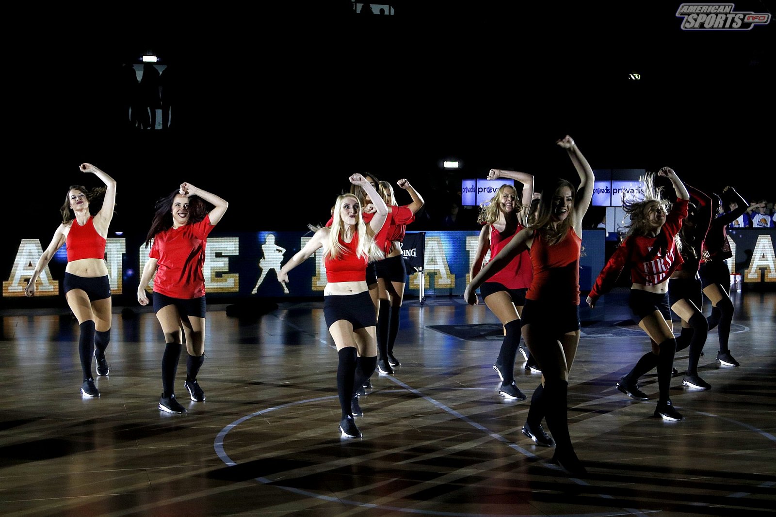 Das Frankfurt Skyliners Danceteam beim BBL Heimspiel gegen MHP Riesen Ludwigsburg am 10.02.2019
