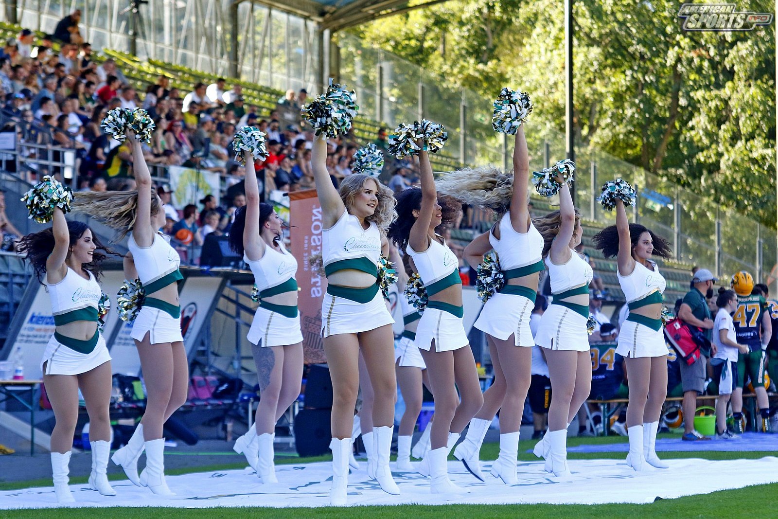 Die Cologne Cheerdance Cheerleader beim Heimspiel gegen die Berlin Rebels am 29.06.2019
