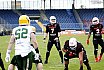 GFL Nord: NewYorker Lions Braunschweig vs Cologne Crocodiles 23:06 04.05.2019